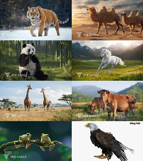 Vfx Grace 3D-Models Bundle скачать
