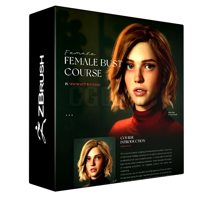 Female Bust Course in Marmoset Toolbag