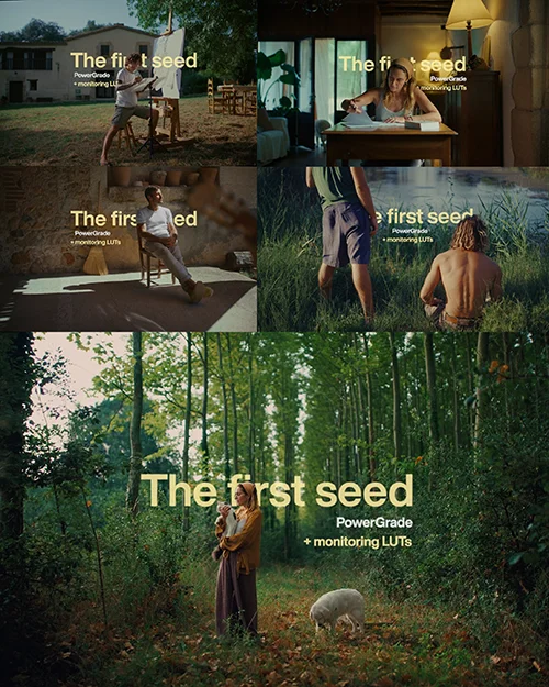 The First Seed - PowerGrade + LUT скачать