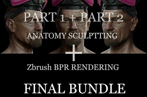 Anatomy Sculpting and ZBrush BPR Package скачать