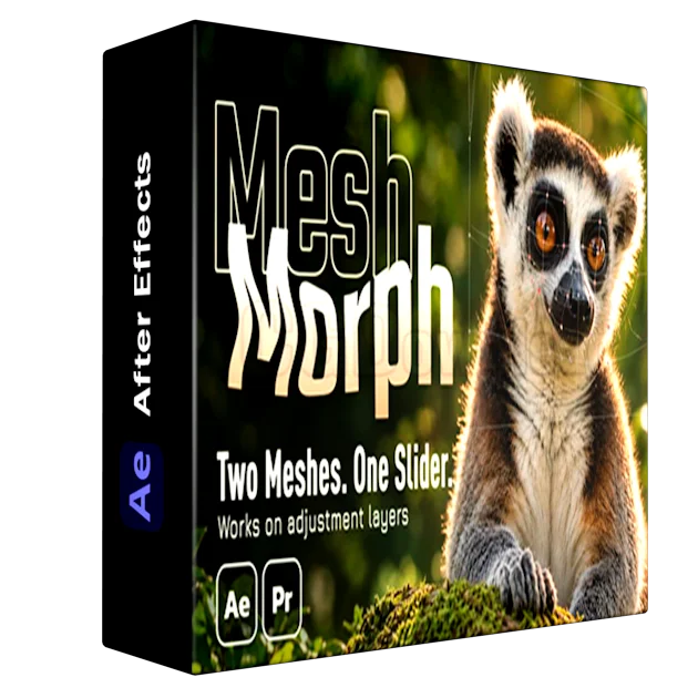 MeshMorph
